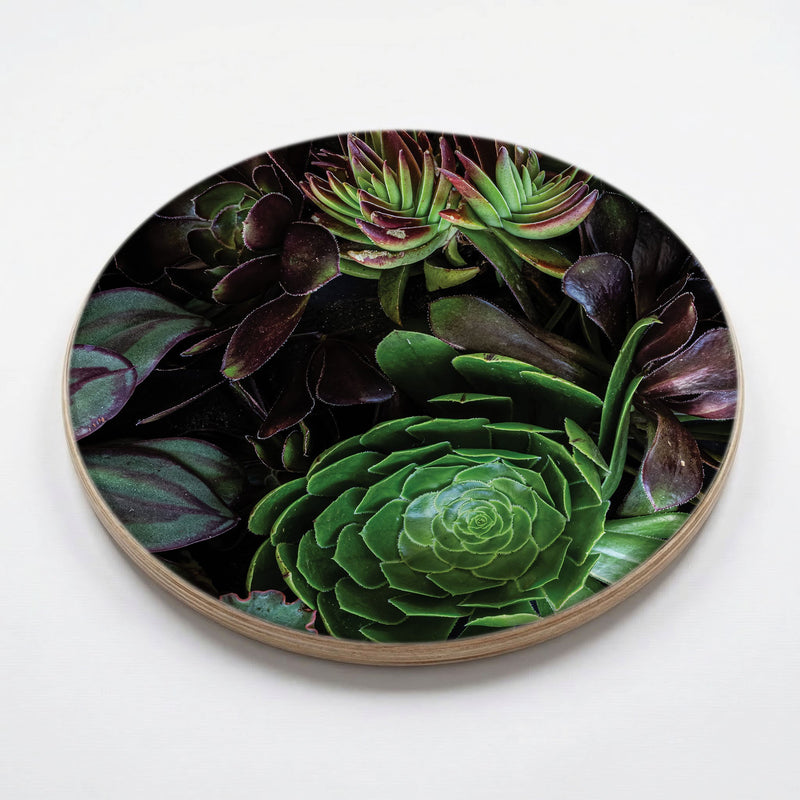 NATURAL GREEN AND PURPLE ALOE GARDEN CHEESEBOARD