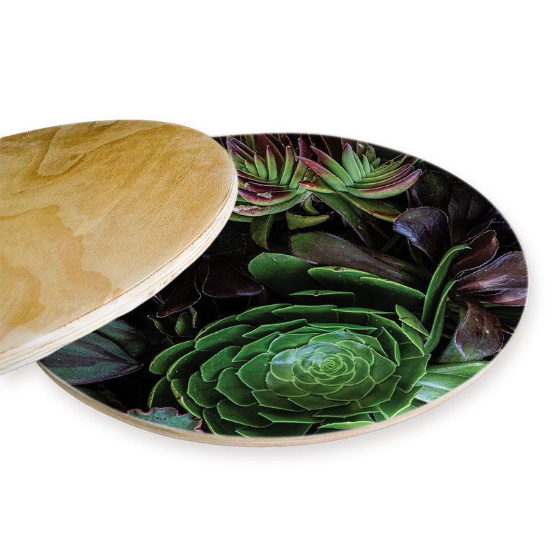 NATURAL GREEN AND PURPLE ALOE GARDEN CHEESEBOARD