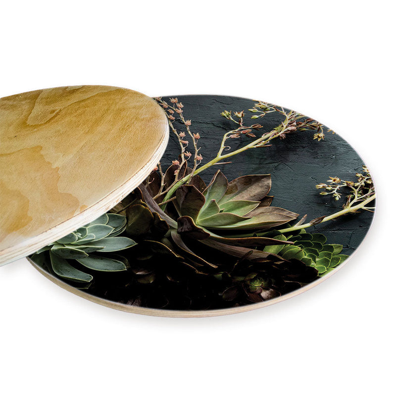 NATURAL GREEN ALOE BUSH WITH LEAVES CHEESEBOARD