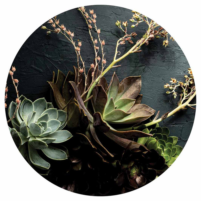 NATURAL GREEN ALOE BUSH WITH LEAVES LAZY SUSAN