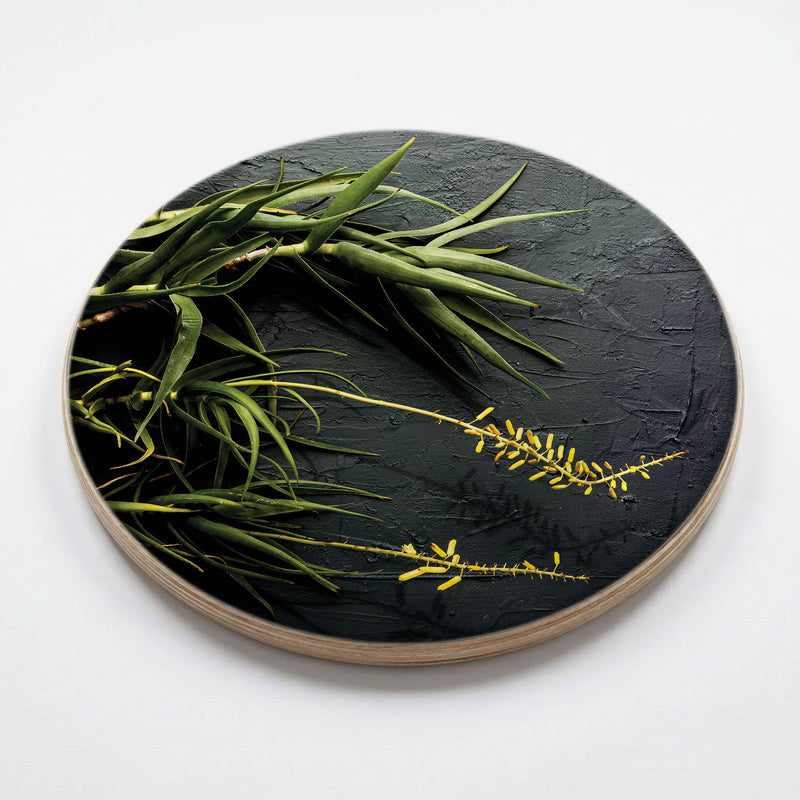 NATURAL YELLOW BLOSSOMS ALOE BUSH ON GREY CHEESEBOARD