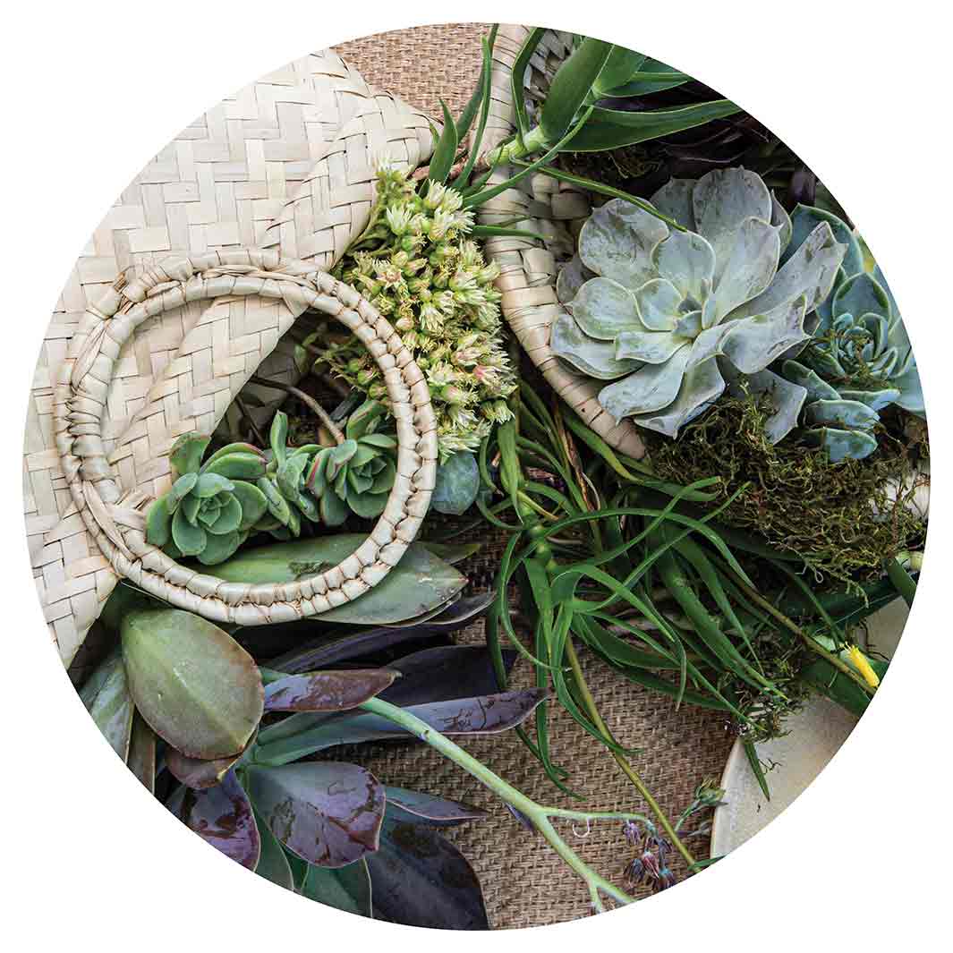 NATURAL GREEN ALOE BOUQUET IN BASKET ON HESSIAN CHEESEBOARD