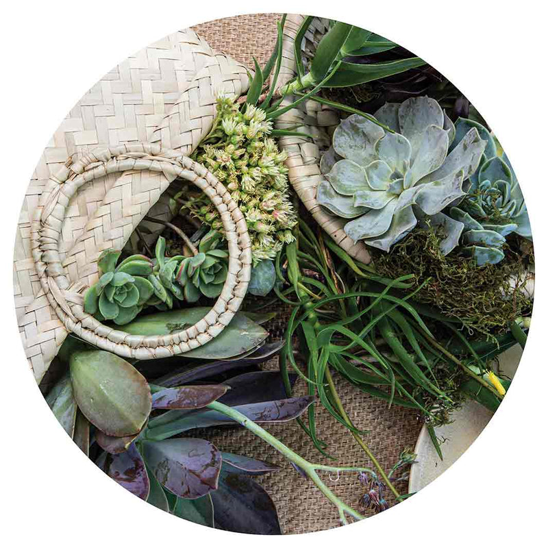 NATURAL GREEN ALOE BOUQUET IN BASKET ON HESSIAN LAZY SUSAN