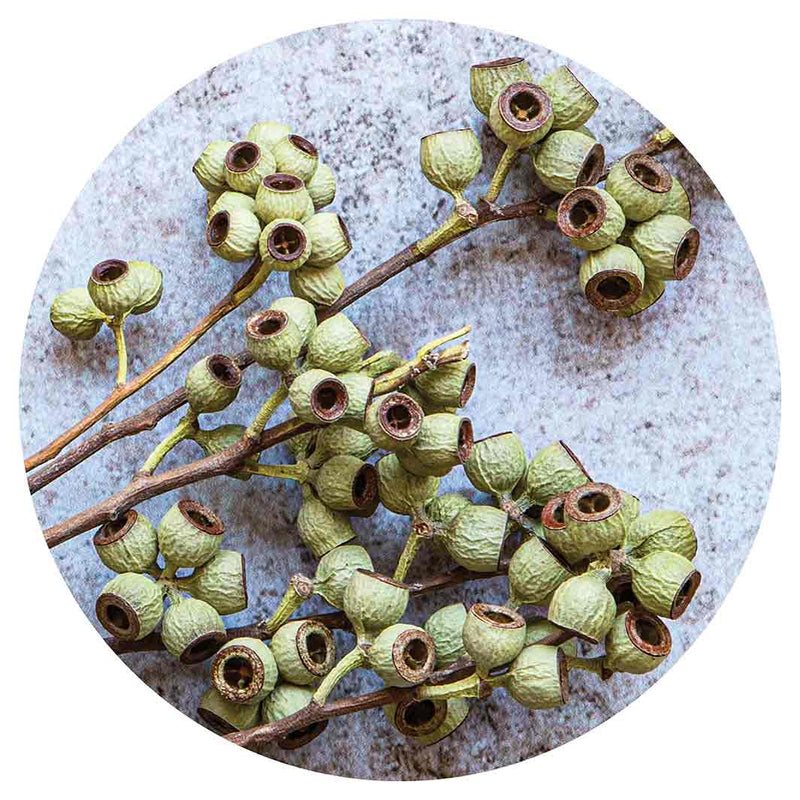 NATURAL GREEN NATURAL AMBERNUTS LAZY SUSAN