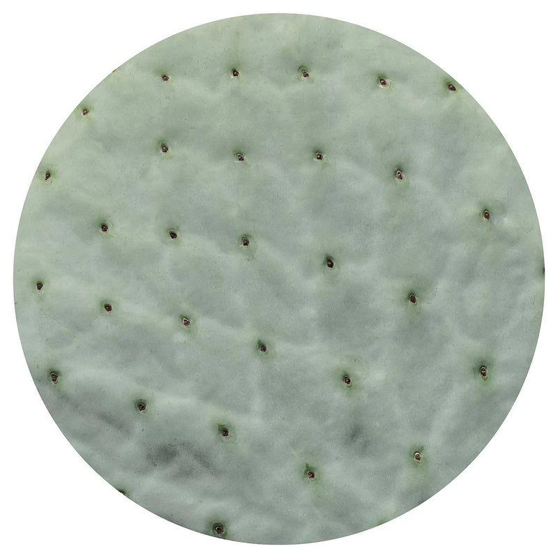 NATURAL GREEN PRICKLY PEAR LEAF LAZY SUSAN