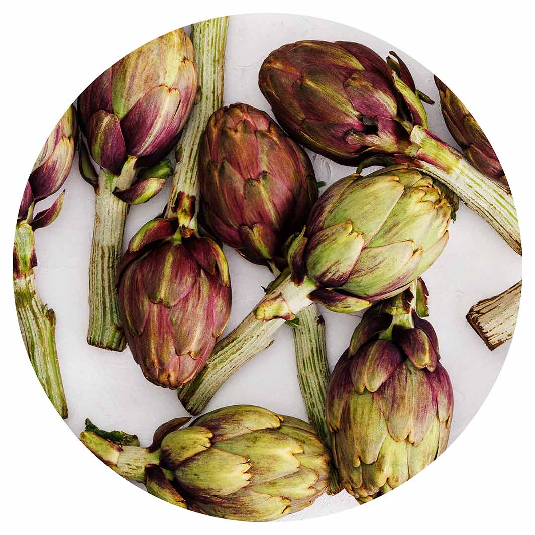 ARTICHOKE DEEP GREEN AND PURPLE ON WHITE CHEESEBOARD