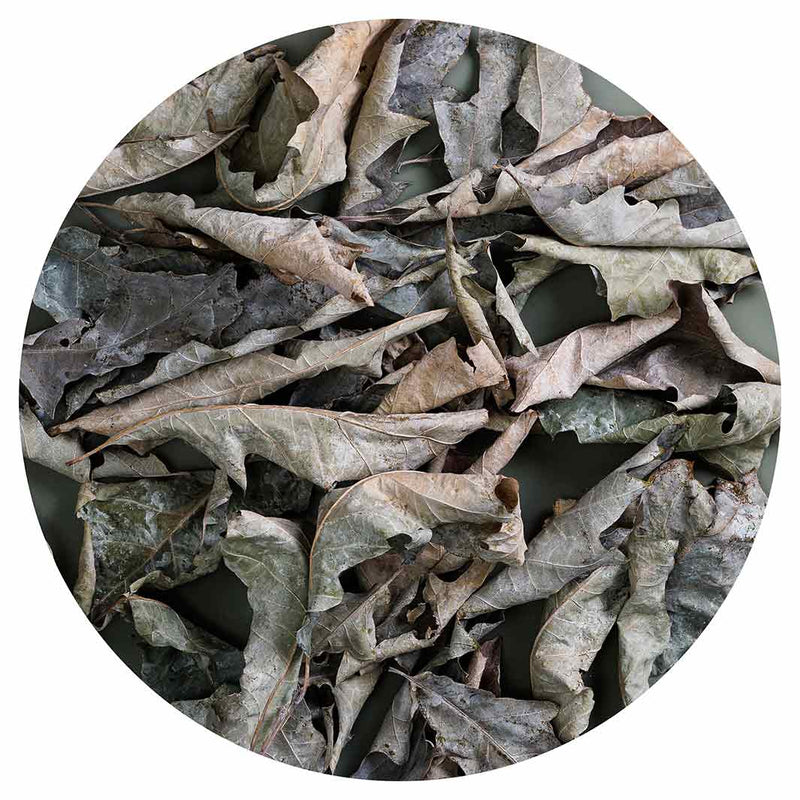 MONOCHROMATIC GREY GREEN LEAVES LAZY SUSAN