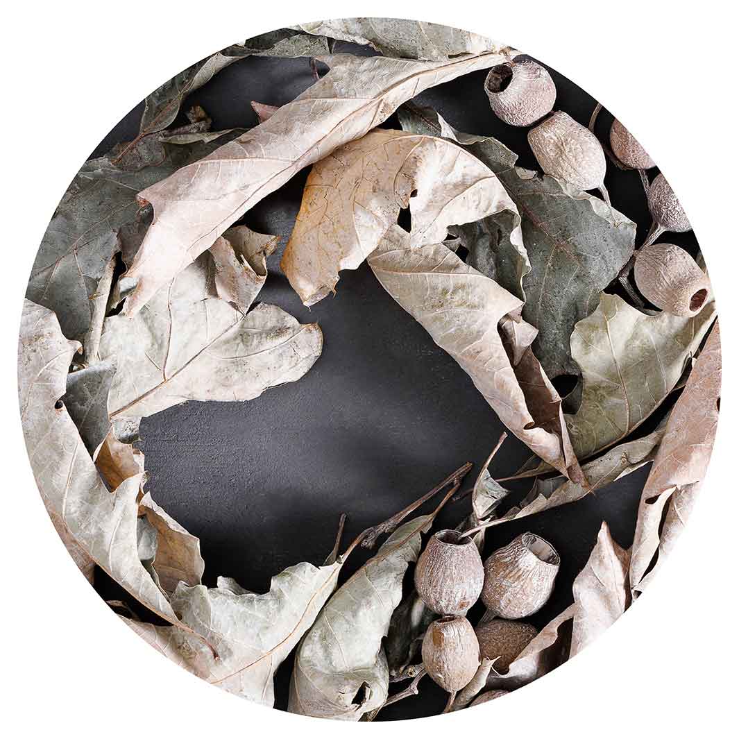 MONOCHROMATIC GREY LEAVES WREATH CHEESEBOARD