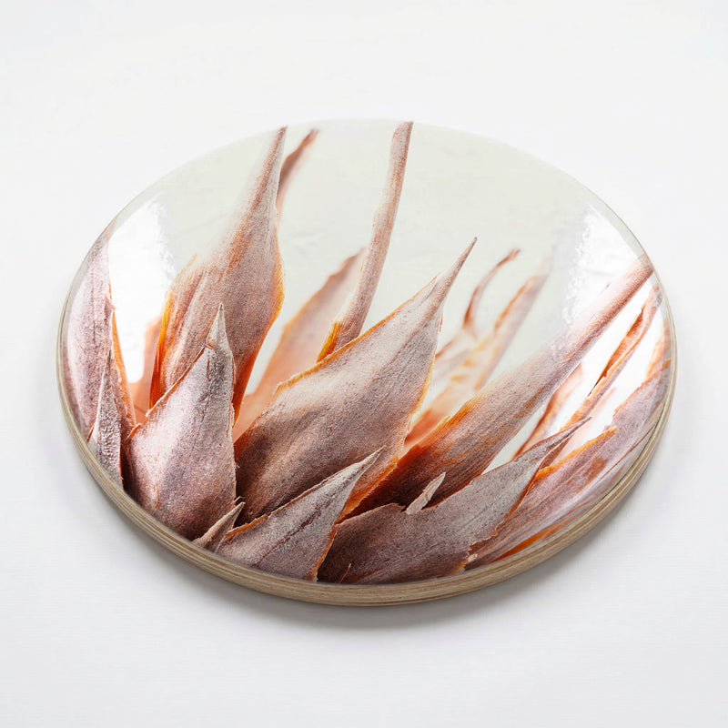 DRIED RUSTIC PINK PROTEA CHEESEBOARD