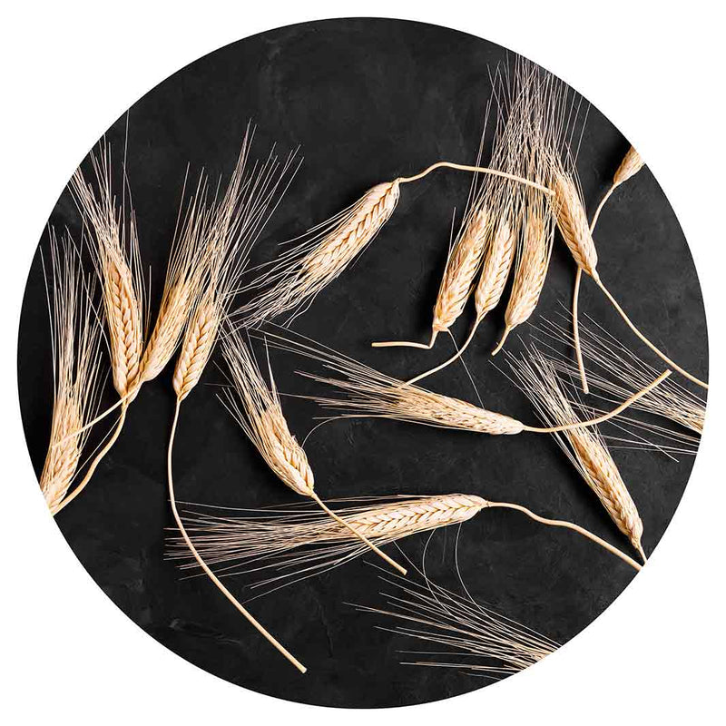 SCATTERED WHEAT ON BLACK LAZY SUSAN