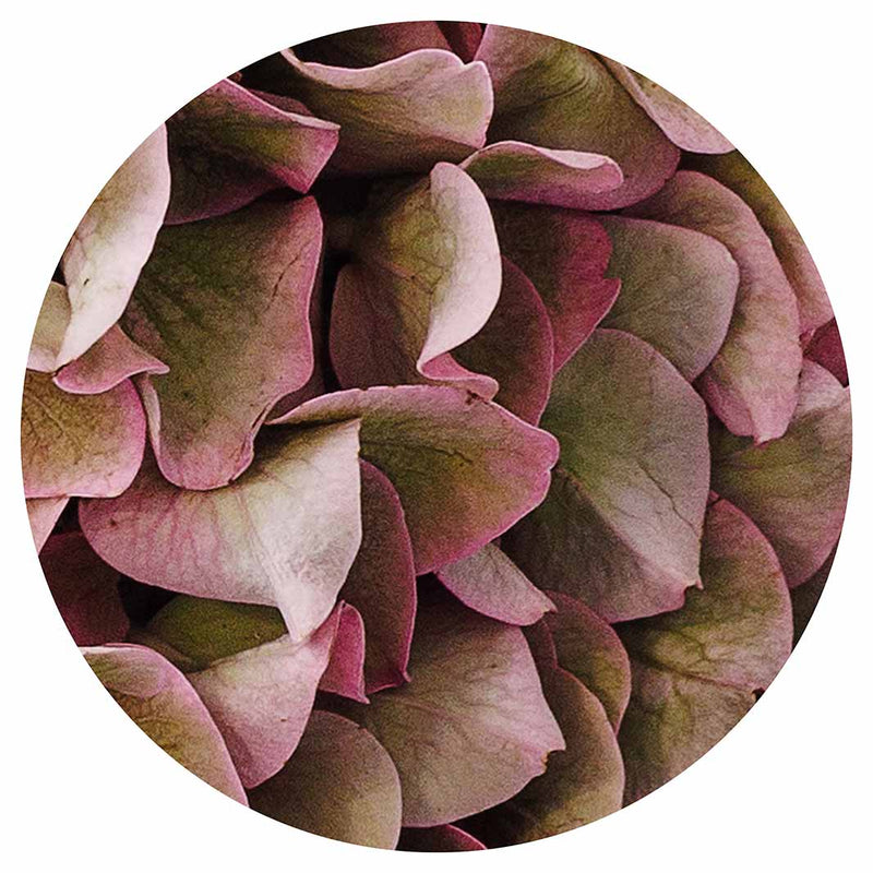 HYDRANGEA DEEP FLORAL TONES LAZY SUSAN