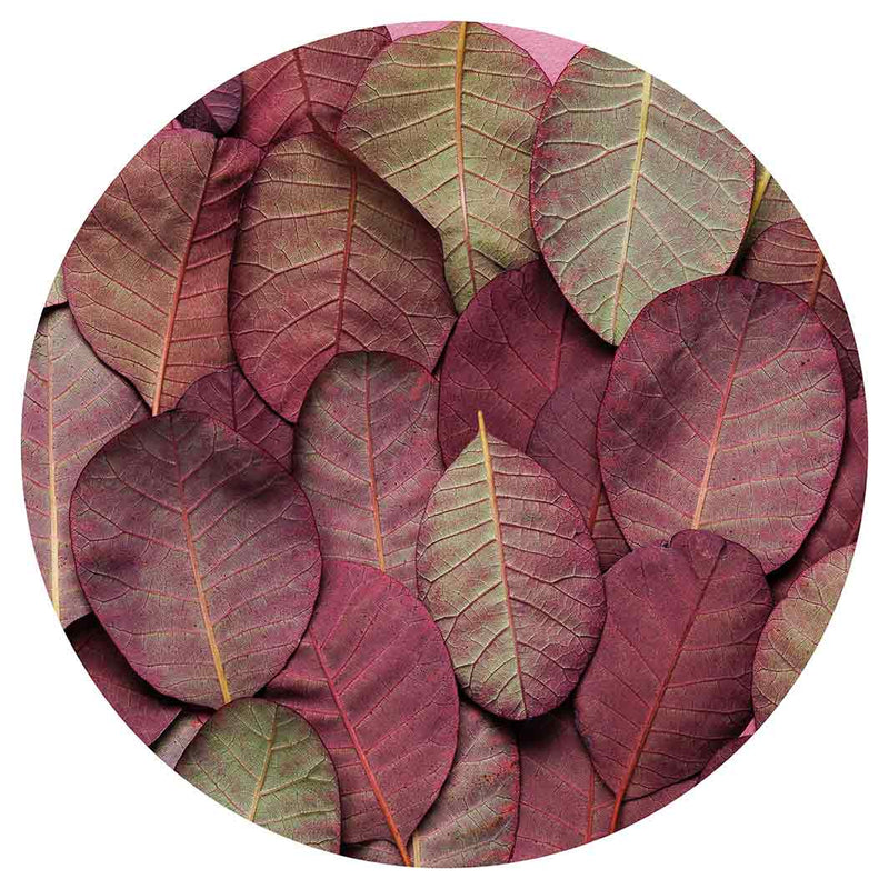 LEAF ARRANGEMENT DARK MAUVE AND GREEN LAZY SUSAN