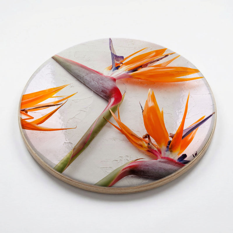 STRELITZIAS ON WHITE CHEESEBOARD