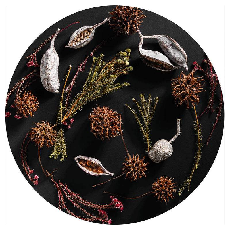 DRIED PODS, SPRIGS, AND SEEDS ON BLACK CHEESEBOARD