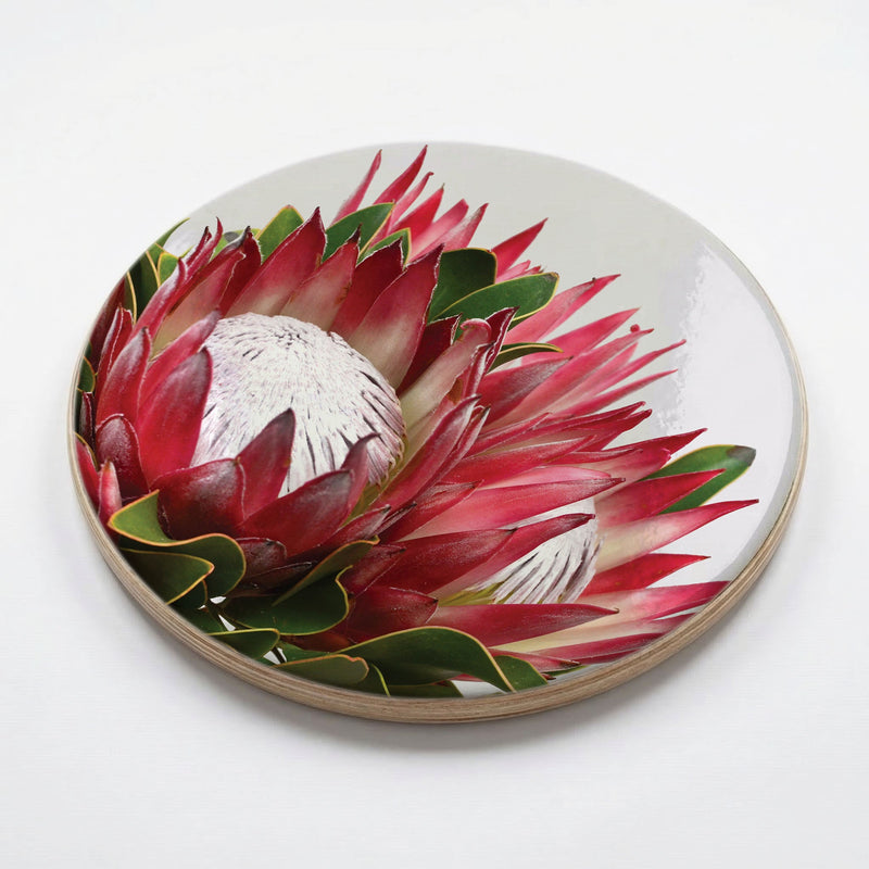 THE CLUSTER PROTEAS CHEESEBOARD