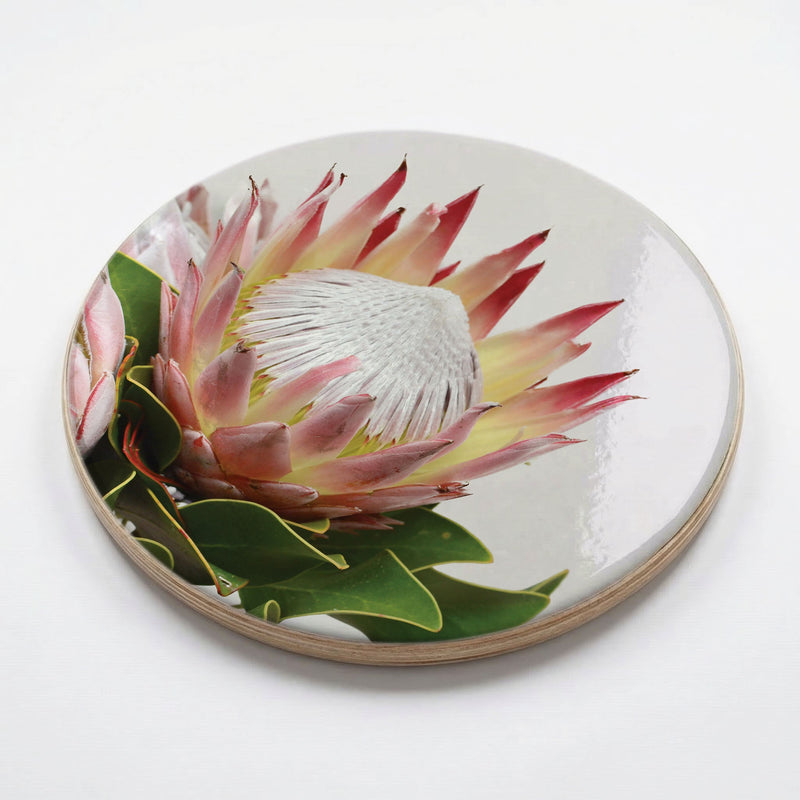SOFT TRIO PROTEAS CHEESEBOARD