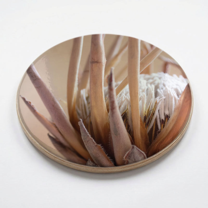 RUSTIC KING PROTEA CHEESEBOARD