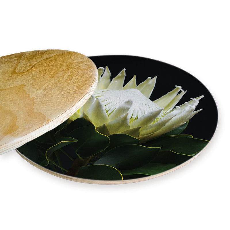 MIDNIGHT WHTIE PROTEA CHEESEBOARD
