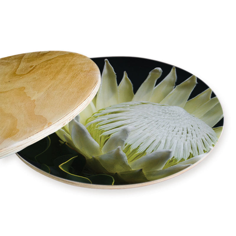 MIDNIGHT WHITE PROTEA UP CLOSE CHEESEBOARD
