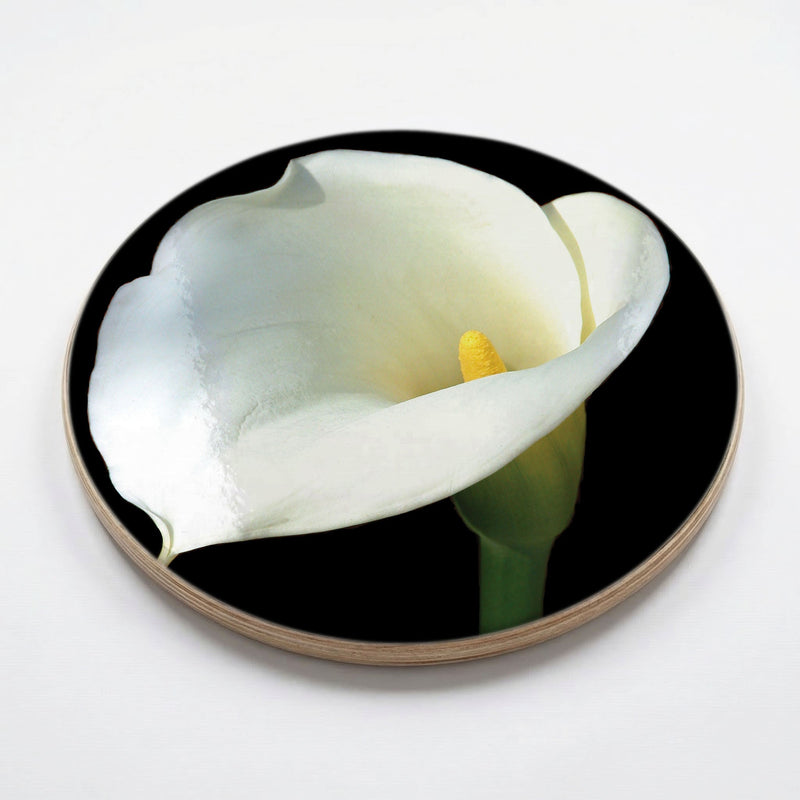 CALLA CURVE CHEESEBOARD