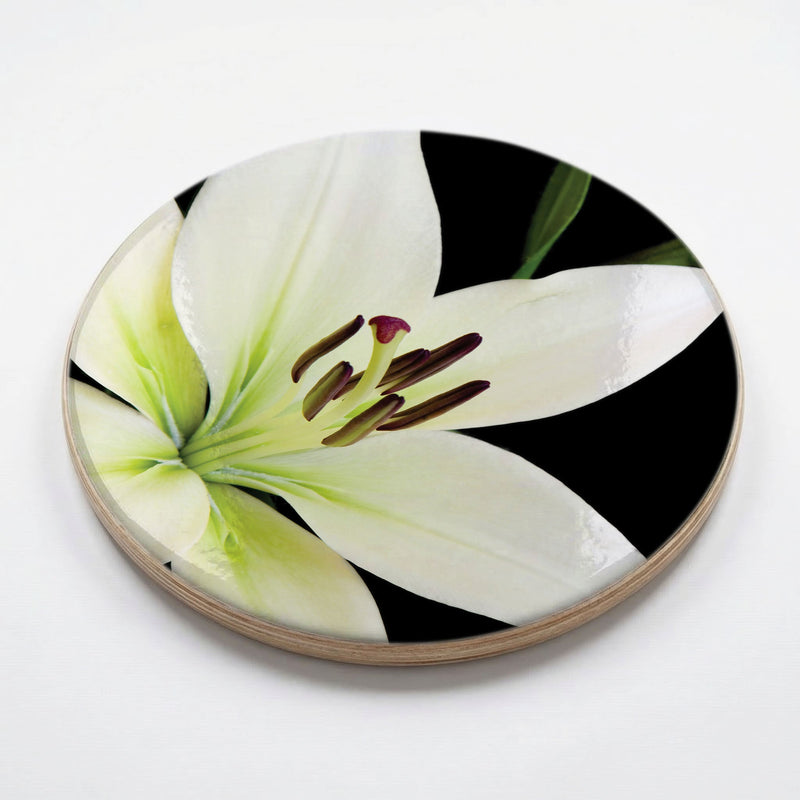 NIGHT LILY CHEESEBOARD