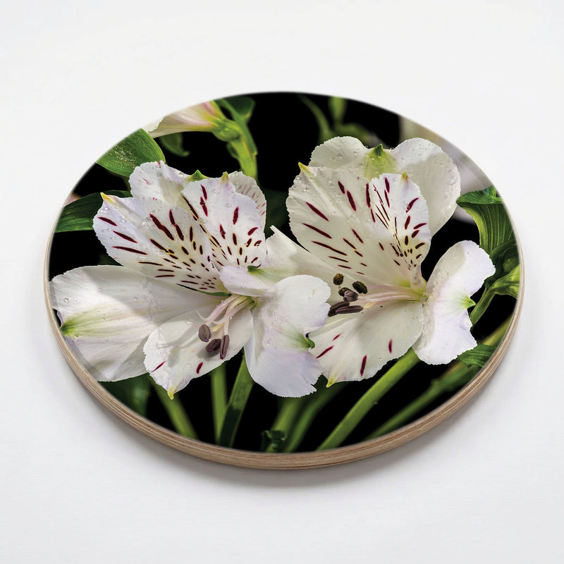 SPECKLED BUNCH CHEESEBOARD