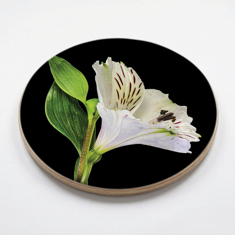 INCA SOLO CHEESEBOARD