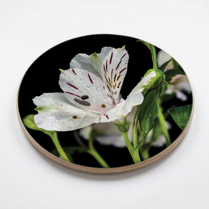 INCA TRIO CHEESEBOARD