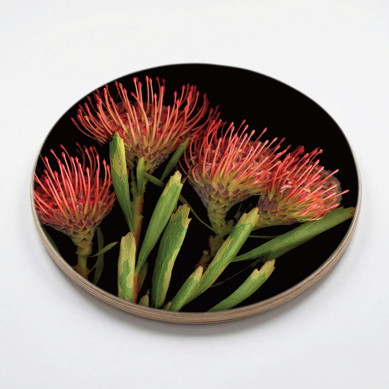 FIREWORK PINCUSHION CHEESEBOARD