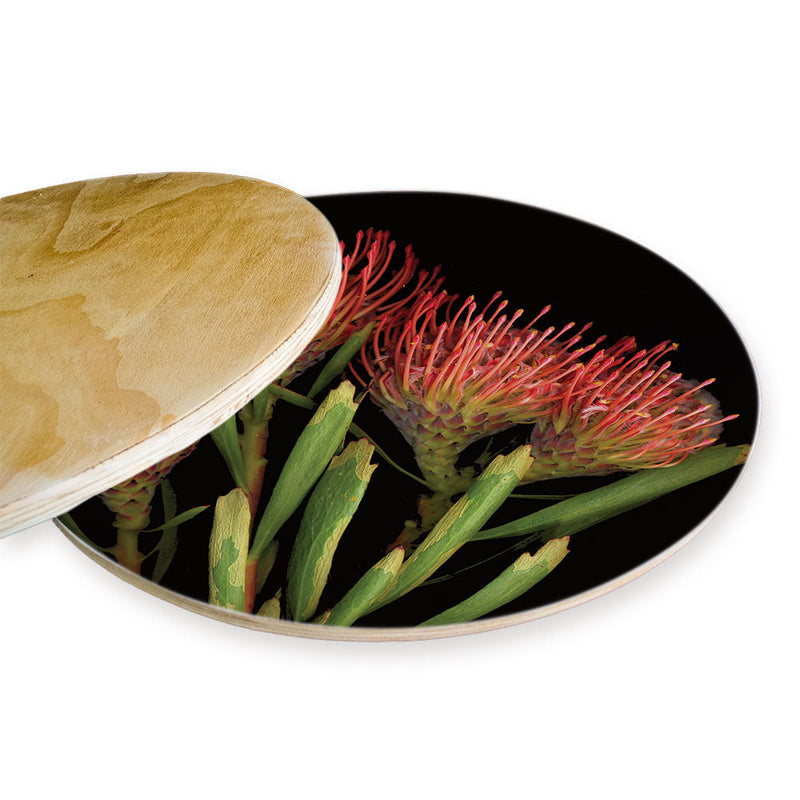 FIREWORK PINCUSHION CHEESEBOARD