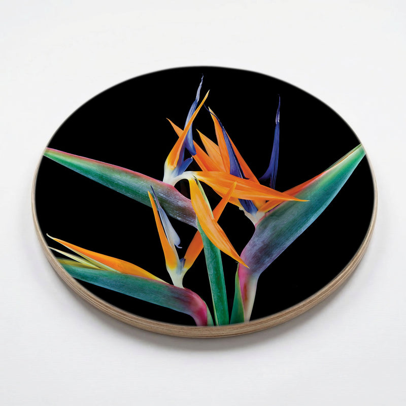 BIRD OF PARADISE CHEESEBOARD