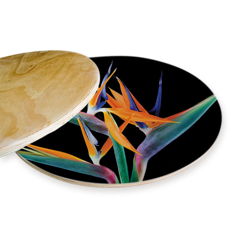 BIRD OF PARADISE CHEESEBOARD