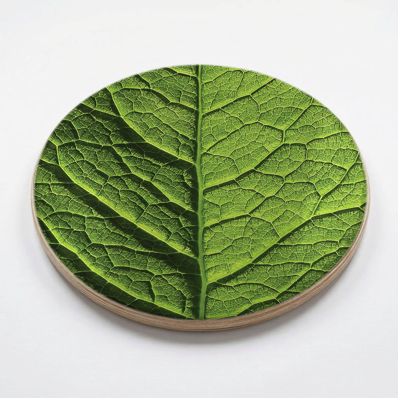 GREEN VEINS CHEESEBOARD
