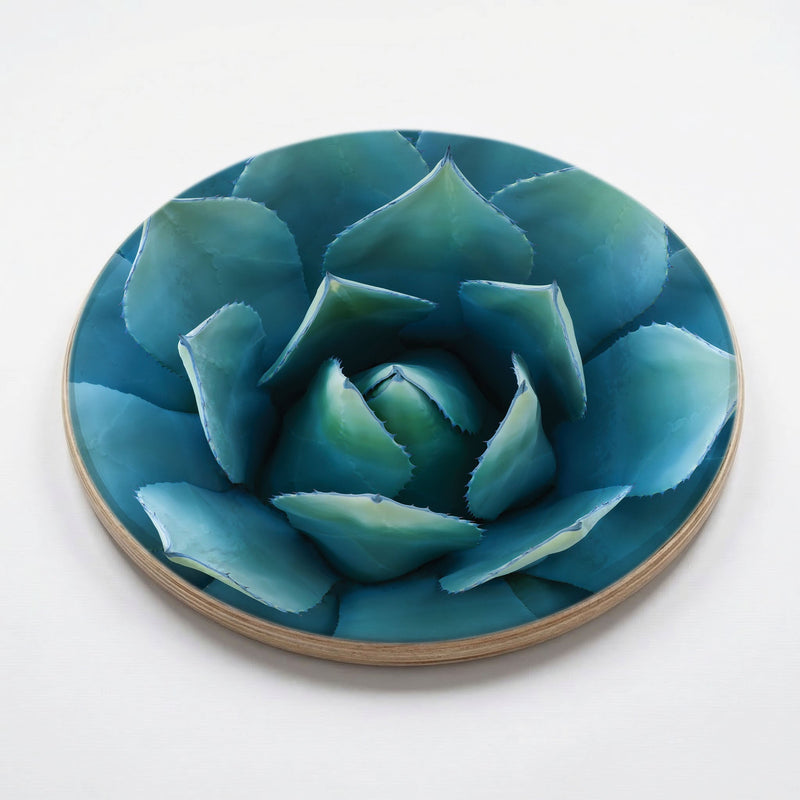 BLUE POINT SUCCULENT CHEESEBOARD