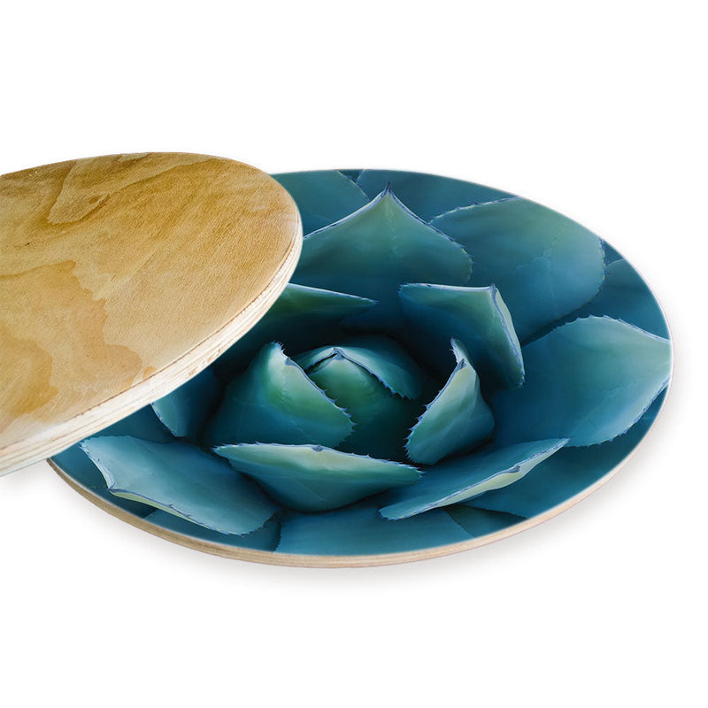 BLUE POINT SUCCULENT CHEESEBOARD
