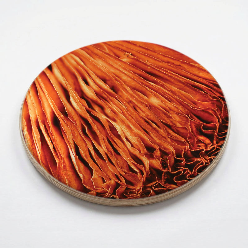 MACRO MUSHROOM CHEESEBOARD