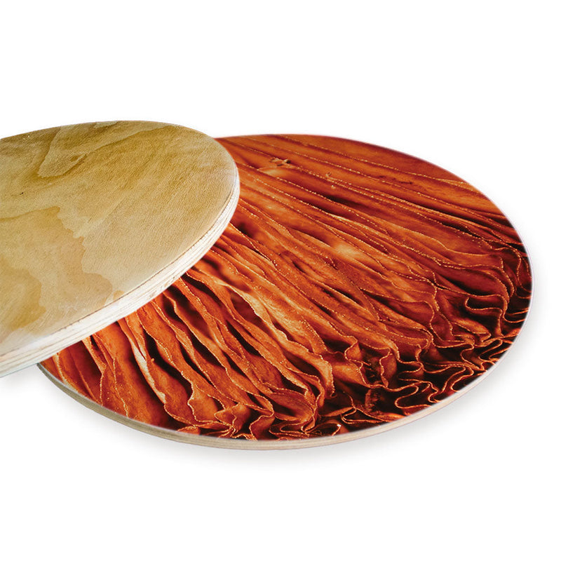 MACRO MUSHROOM CHEESEBOARD