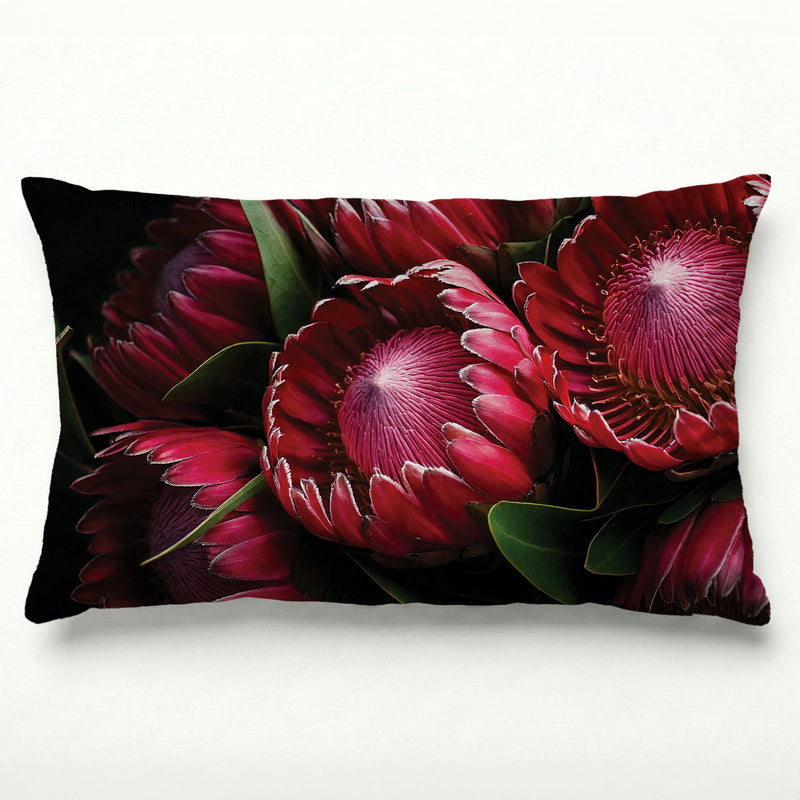 NOCTURNAL PROTEAS SCATTER CUSHION