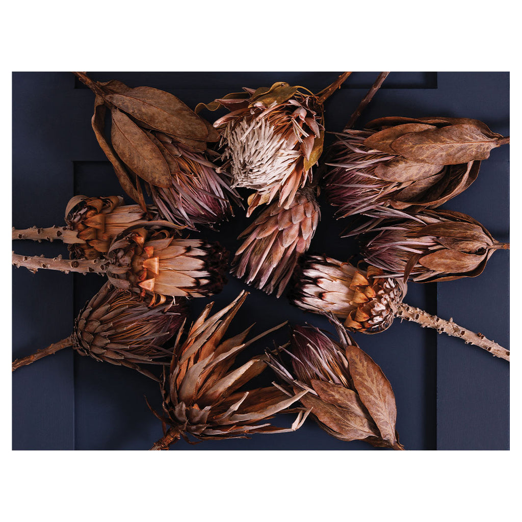 GOLDEN BROWNS PROTEAS SCATTER CUSHION