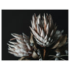FADED PROTEAS SCATTER CUSHION
