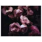 DUSKY ROSES SCATTER CUSHION
