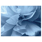 BLUE PETALS SCATTER CUSHION