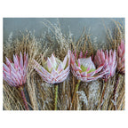FLORAL DEEP PINK KING PROTEA SCATTER CUSHION