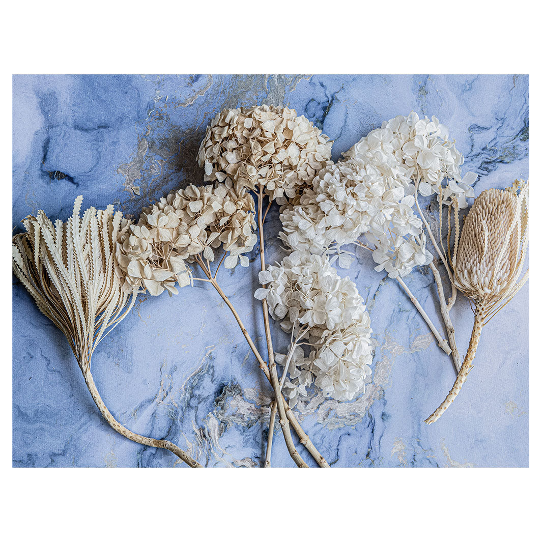 FLORAL CREAM BLEACHED HYDRANGEAS ON BLUE SCATTER CUSHION