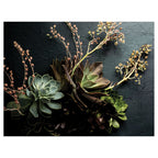 NATURAL GREEN ALOE BUSH WITH LEAVES SCATTER CUSHION