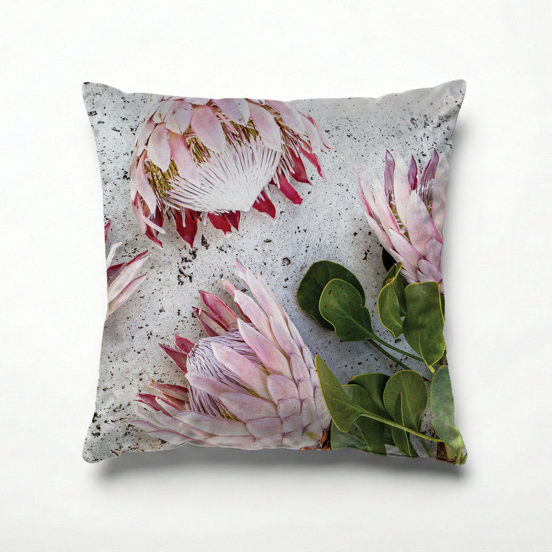 FLORAL PINK PROTEAS ON WHITE SCATTER CUSHION