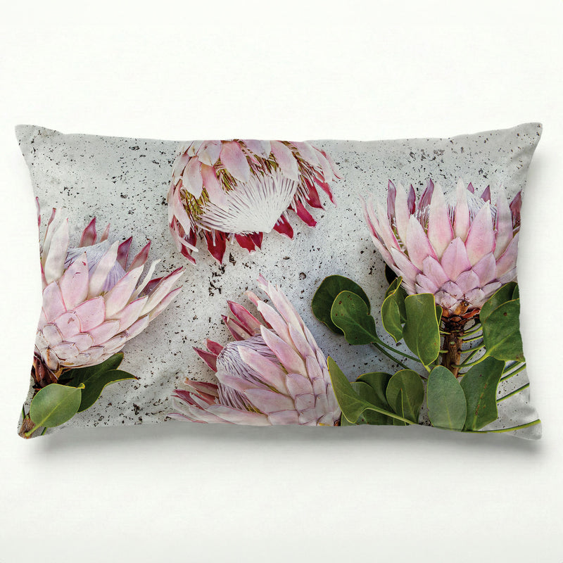 FLORAL PINK PROTEAS ON WHITE SCATTER CUSHION
