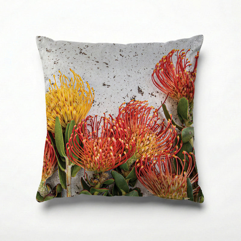 FLORAL ORANGE PIN CUSHIONS ON WHITE SCATTER CUSHION