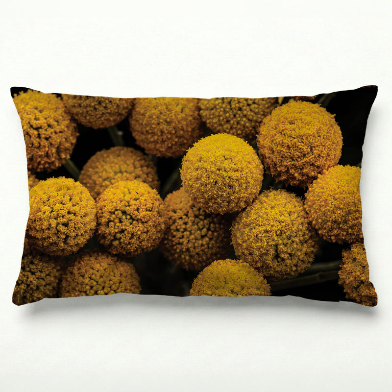 NATURAL YELLOW CRASPEDIA BILLY BUTTON BALLS SCATTER CUSHION
