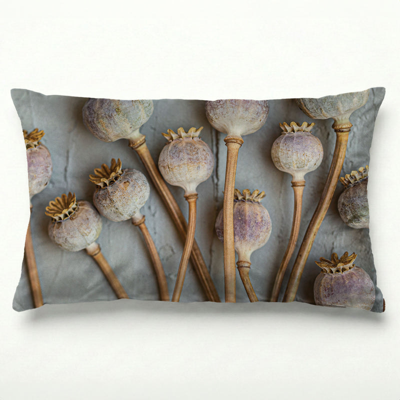 NATURAL PURPLE GIANT POPPY SEEDS ON GREY SCATTER CUSHION
